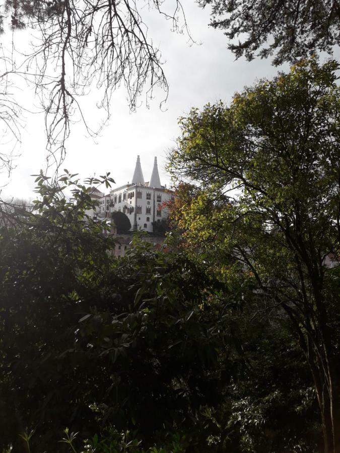 A Casinha Villa Sintra Ngoại thất bức ảnh